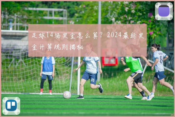 足球14场奖金怎么算？2024最新奖金计算规则揭秘