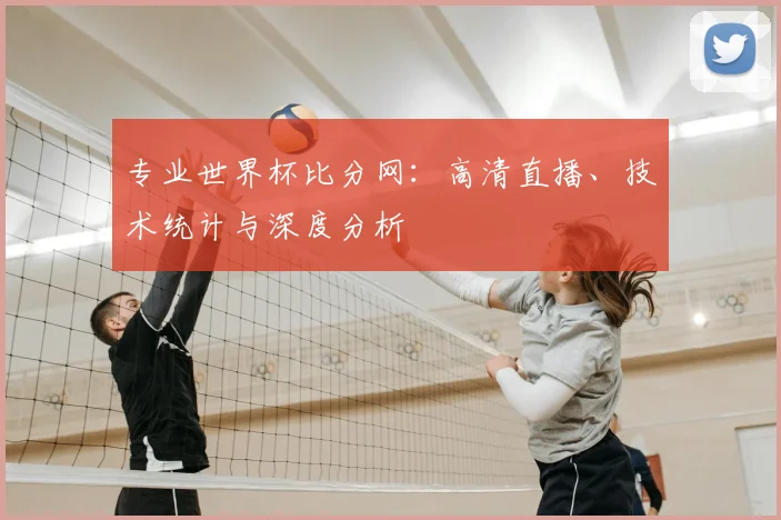 专业世界杯比分网：高清直播、技术统计与深度分析